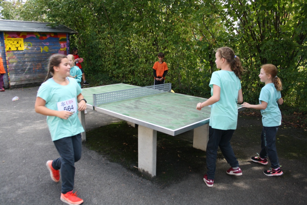 Bild 1 (113)